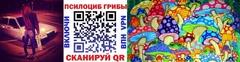 Купить закладки  Вологда  Псилоцибиновые грибы прущие грибы 